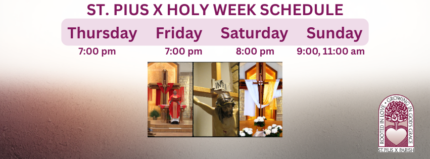 echo get_the_title()